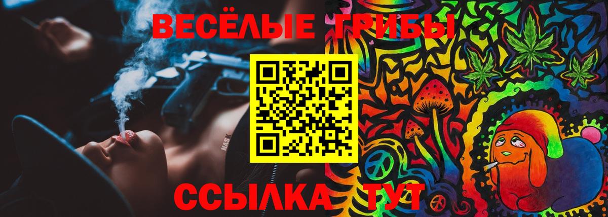 наркотики  Псилоцибиновые грибы Cubensis  Вход с VPN  Менделеевск  Псилоцибиновые грибы Psilocybine cubensis 